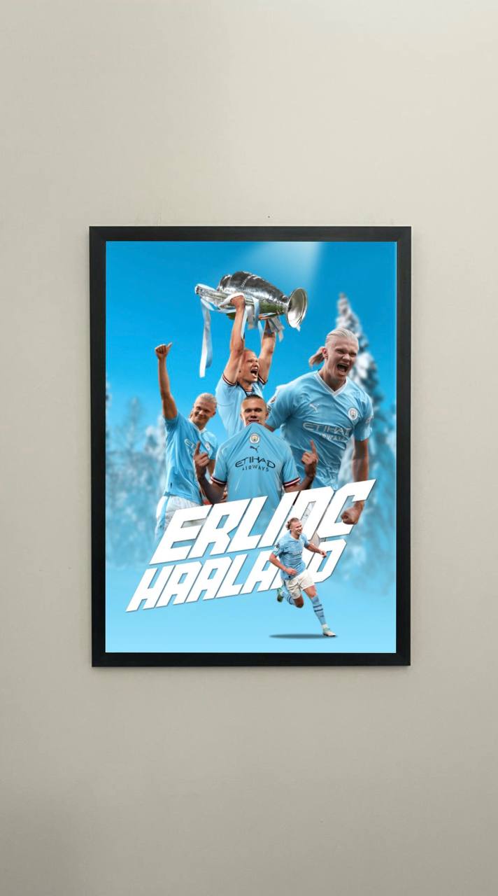 Football players | Erling Haaland #253-06-01