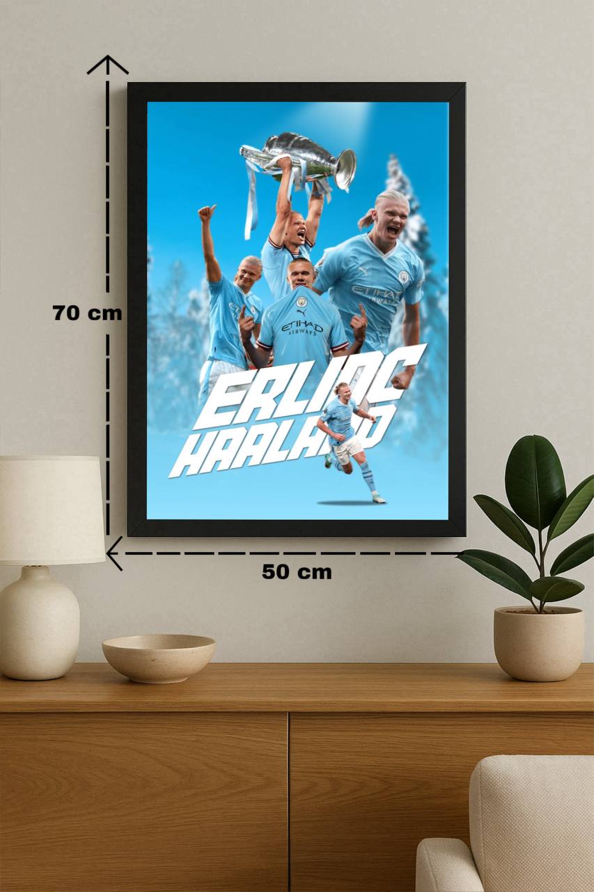 Football players | Erling Haaland #253-06-01